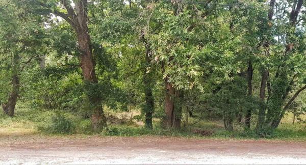 Terrain Soulac-sur-Mer 1242 m²