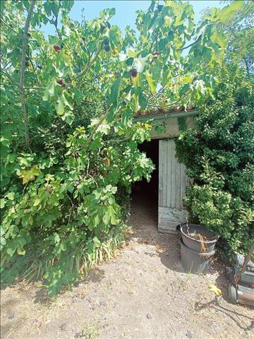 Terrain à vendre |  Montbazin |  700 m²