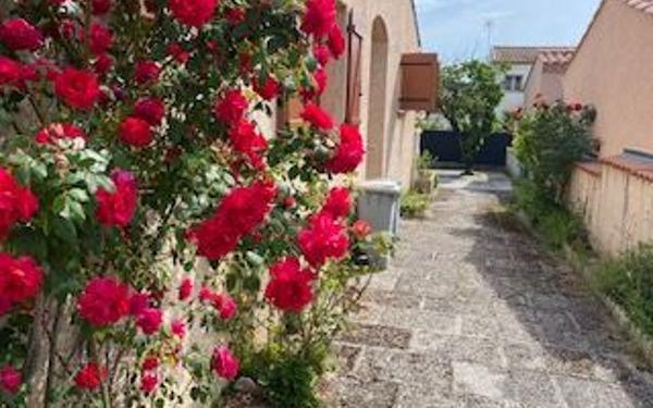 Maison à louer    4 pièces •  Saint-Gély-du-Fesc