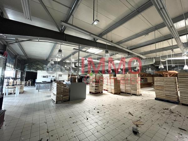 Location / Local Commercial