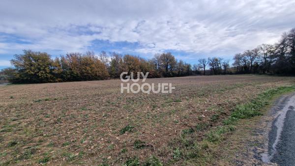EXCLUSIVITE - Terrain agricole arboré de 7977 m2 Toulouges