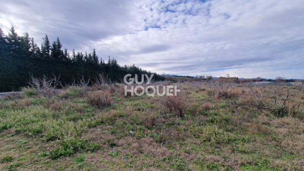 EXCLUSIVITE - Terrain agricole arboré de 7977 m2 Toulouges