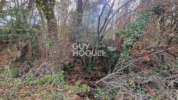 EXCLUSIVITE - Terrain agricole arboré de 7977 m2 Toulouges