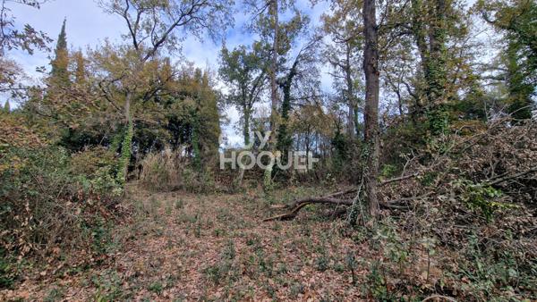 EXCLUSIVITE - Terrain agricole arboré de 7977 m2 Toulouges