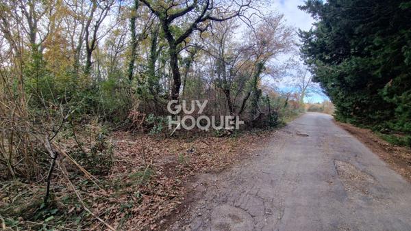 EXCLUSIVITE - Terrain agricole arboré de 7977 m2 Toulouges