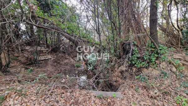 EXCLUSIVITE - Terrain agricole arboré de 7977 m2 Toulouges