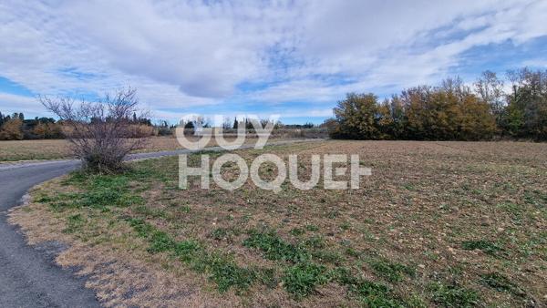 EXCLUSIVITE - Terrain agricole arboré de 7977 m2 Toulouges