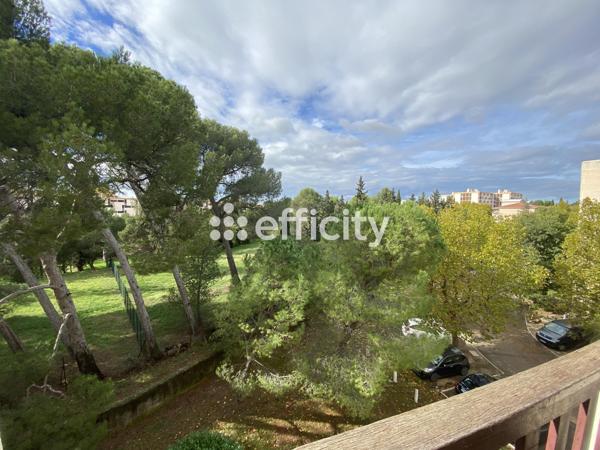 Appartement 3 pièces - 56 m² Exclusivité efficity