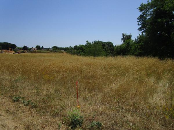 Terrain de 1489m² à Thésée