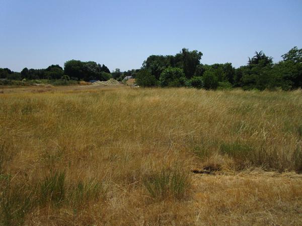 Terrain de 1489m² à Thésée