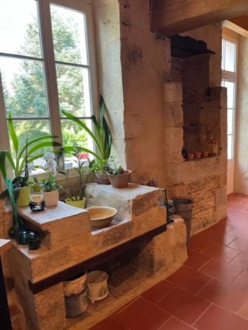 Dpt (32) : ELEGANT CHATEAU XIX, sans travaux, bases médievales avec douves, piscine, sur 9100m2 jardin clos,