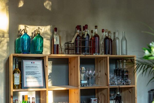 Dpt (32) : ELEGANT CHATEAU XIX, sans travaux, bases médievales avec douves, piscine, sur 9100m2 jardin clos,