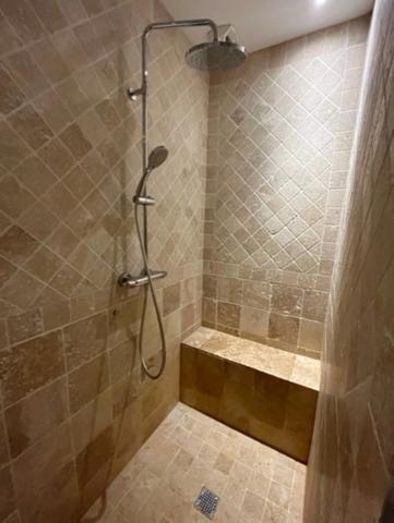 Dpt (32) : ELEGANT CHATEAU XIX, sans travaux, bases médievales avec douves, piscine, sur 9100m2 jardin clos,