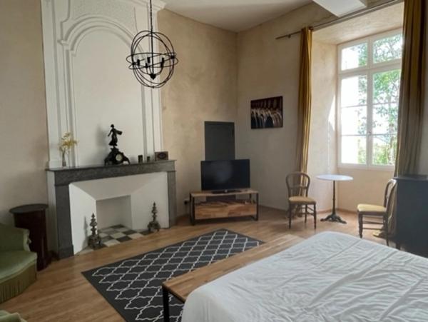 Dpt (32) : ELEGANT CHATEAU XIX, sans travaux, bases médievales avec douves, piscine, sur 9100m2 jardin clos,