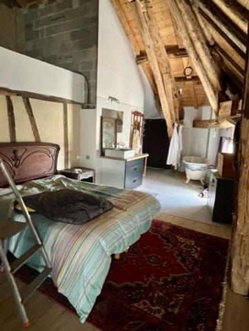 Dpt (32) : ELEGANT CHATEAU XIX, sans travaux, bases médievales avec douves, piscine, sur 9100m2 jardin clos,