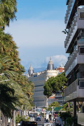 Appartement/Villa 6 pièces Jardin Cannes Croisette