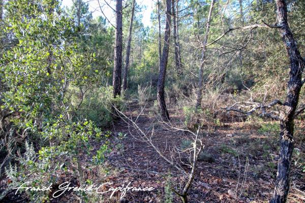 Terrain naturel 55050m²  TOURVES (83)