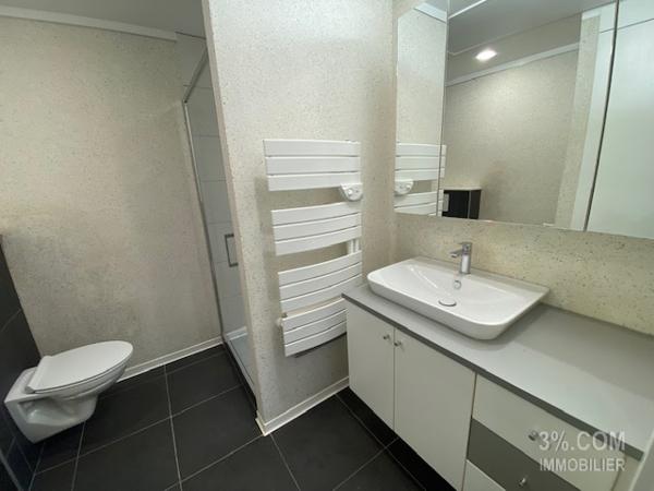 3%.COM Très beau Duplex style LOFT Hochfelden (67270)