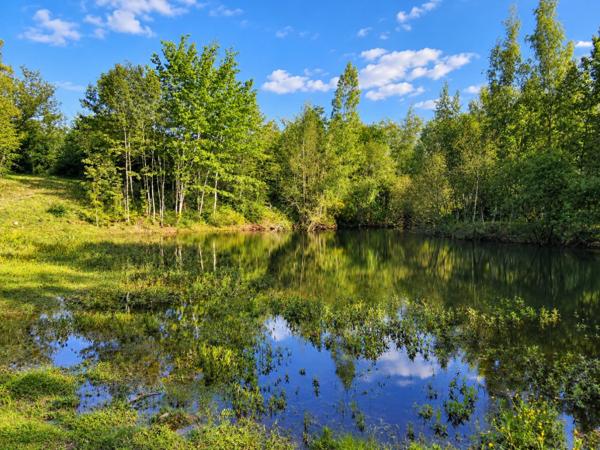 Magnifique terrain de loisir