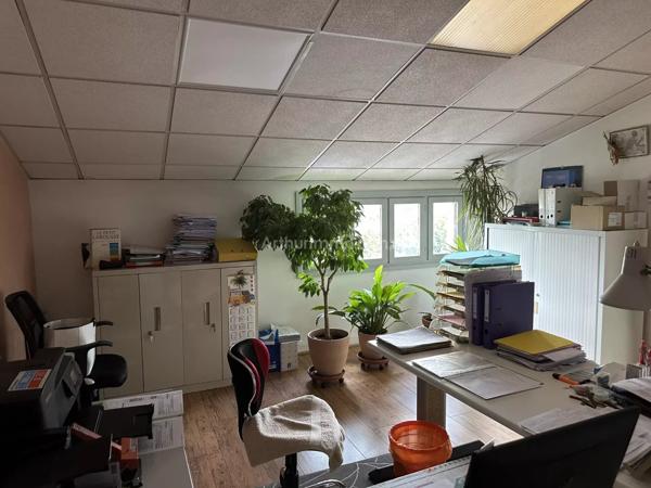 Vente Local commercial 4 pièces 300 m2 à Sarrola-Carcopino