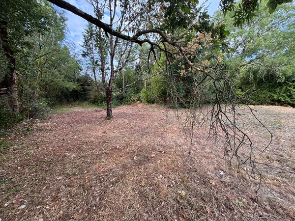 Terrain de loisirs de 1 019 m² - Environnement privilégié à Saint-Georges-d'Oléron