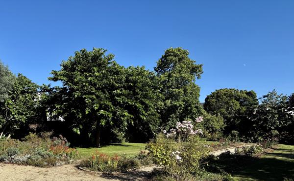 Maison 10 pièces - 243 m² Bien prestige