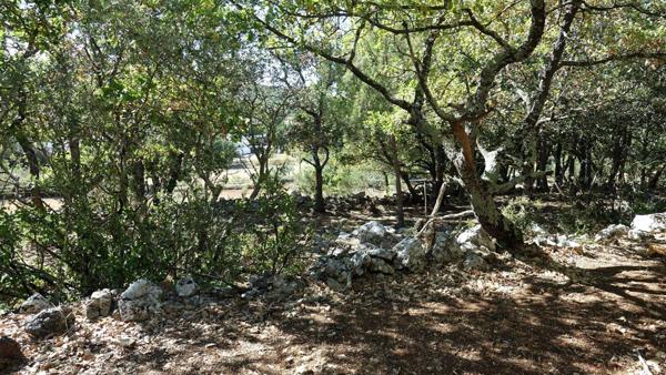 Terrain à bâtir Saint Maximin sud