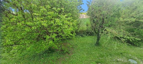 Maison de caractère + grange +piscine+ préau de 66m2 chauffé