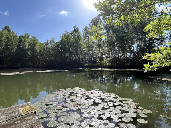 Terrain de loisirs avec étang 14 500 m2 ETOUVELLES (02000)