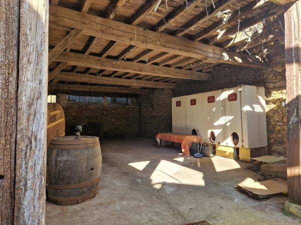 Vente Immeuble 295 m2 à Peyrehorade