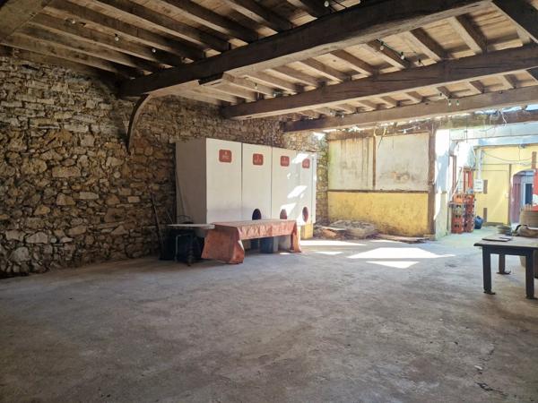 Vente Immeuble 295 m2 à Peyrehorade