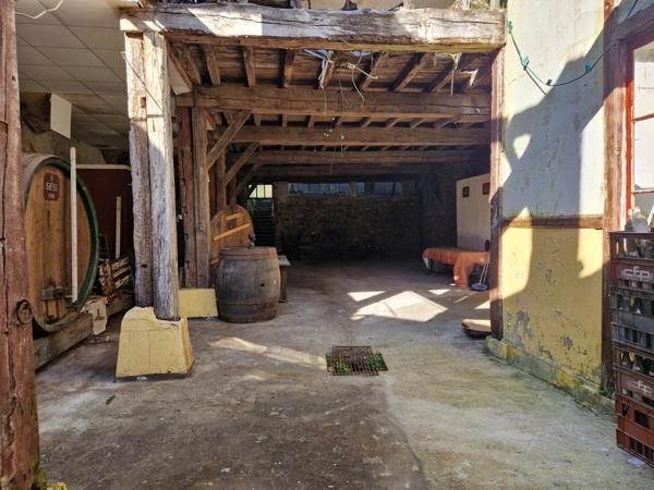 Vente Immeuble 295 m2 à Peyrehorade