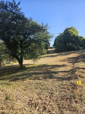 Terrain
        
        - 892 m² 162 000 € *