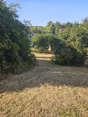 Terrain
        
        - 892 m² 162 000 € *