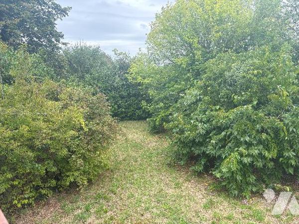 Avec son terrain arboré d'environ 3500 m², cette ancienne maison en pierre est à rénover !