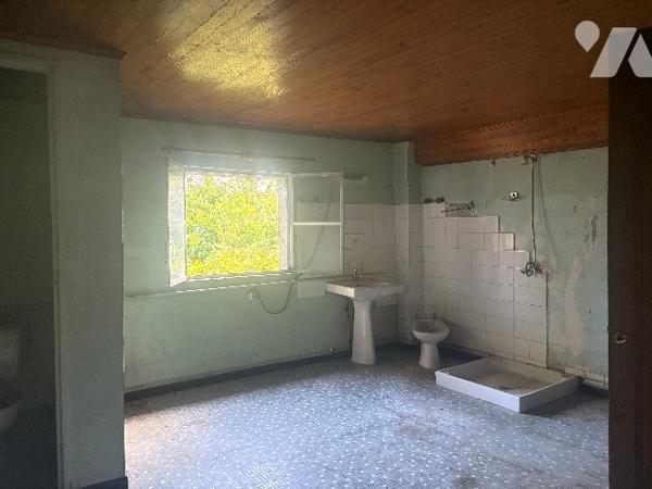Avec son terrain arboré d'environ 3500 m², cette ancienne maison en pierre est à rénover !