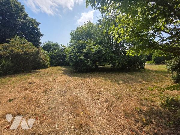 Avec son terrain arboré d'environ 3500 m², cette ancienne maison en pierre est à rénover !