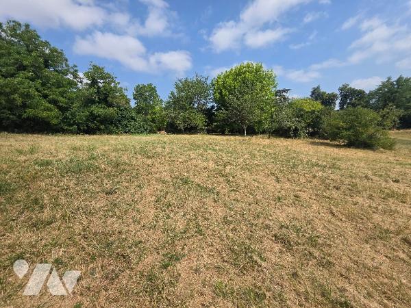 Avec son terrain arboré d'environ 3500 m², cette ancienne maison en pierre est à rénover !