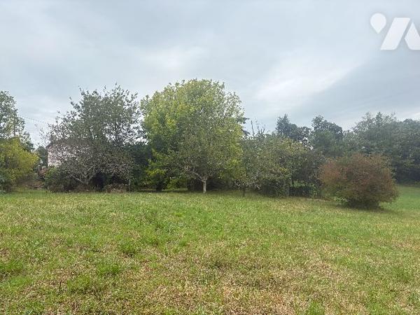 Avec son terrain arboré d'environ 3500 m², cette ancienne maison en pierre est à rénover !