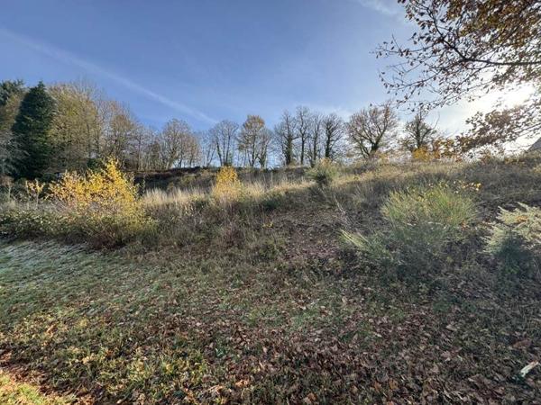 Terrain à vendre |  Saint-Yrieix-la-Perche |  6040 m²