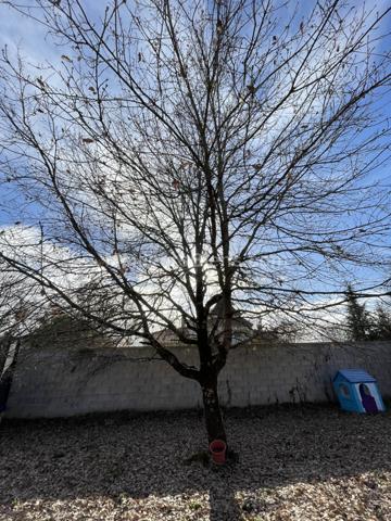 Exclusivité : Villa contemporaine de type T4