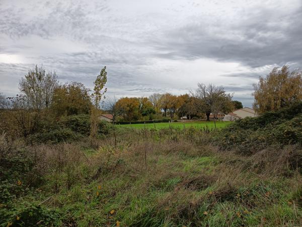 Terrain