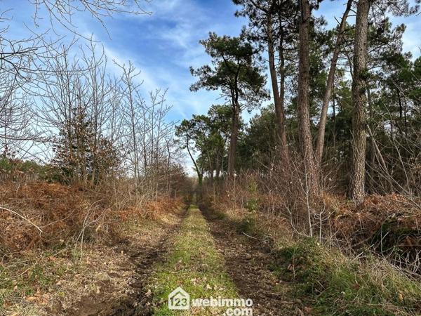 Terrain à bâtir 632 m² à Mazé-Milon 49630