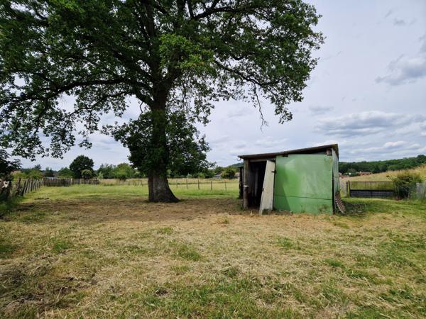 terrain loisir avec etang