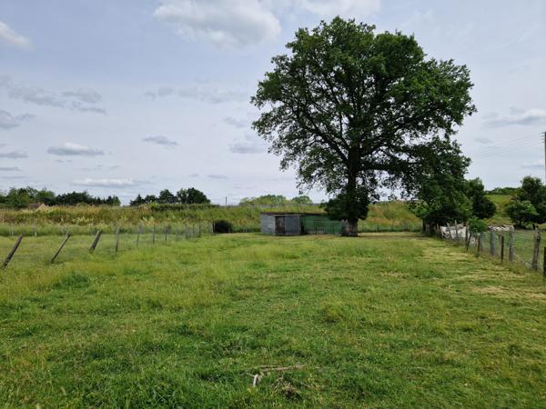 terrain loisir avec etang