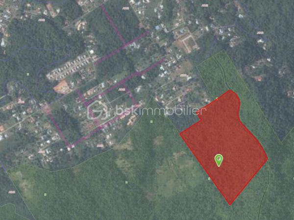 Situé dans le secteur recherché de La Chaumière à Matoury, à proximité de Cayenne, cet ensemble foncier rare composé de deux parcelles attenantes développe une superficie totale d’environ 325 000 m², soit plus de 32 hectares, au cœur d’un environnement naturel remarquable.

Ce bien se distingue par un atout exceptionnel : la présence historique de sources naturelles identifiées sur le massif du Mont Grand Matoury, dans un secteur reconnu pour ses ressources en eau, ses criques forestières et son environnement préservé.

Selon les éléments historiques disponibles, ces sources auraient été exploitées pendant plus de 15 ans sans pénurie constatée. Elles auraient notamment permis l’arrosage d’une serre agricole d’environ 8 600 m², avec des volumes estimés entre 60 000 et 100 000 litres d’eau par jour.

Des analyses historiques réalisées par l’Institut Pasteur auraient également conclu à une eau pure, non polluée et propre à la consommation.

L’une des deux parcelles présente un intérêt particulier avec une surface constructible d’environ 4 400 m², offrant une base concrète pour envisager un projet de valorisation, sous réserve des autorisations administratives, techniques et réglementaires nécessaires.

L’ensemble constitue une opportunité foncière atypique, susceptible d’intéresser des porteurs de projets à forte valeur ajoutée : projet lié à l’eau, activité agricole ou agro-environnementale, écotourisme, projet patrimonial, environnemental ou réserve foncière stratégique dans un secteur recherché.

Ce domaine offre une combinaison rare : grande superficie, environnement naturel préservé, potentiel hydrique historique, surface constructible identifiée et localisation stratégique entre Matoury et Cayenne.

Une opportunité rare sur le marché guyanais, destinée à un acquéreur capable de porter un projet ambitieux, cohérent et respectueux du site.

Prix de vente : 790 000 € HAI

Dossier complet transmis uniquement sur demande sérieuse, après identification de l’acquéreur.