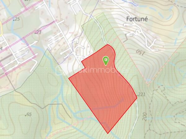 Situé dans le secteur recherché de La Chaumière à Matoury, à proximité de Cayenne, cet ensemble foncier rare composé de deux parcelles attenantes développe une superficie totale d’environ 325 000 m², soit plus de 32 hectares, au cœur d’un environnement naturel remarquable.

Ce bien se distingue par un atout exceptionnel : la présence historique de sources naturelles identifiées sur le massif du Mont Grand Matoury, dans un secteur reconnu pour ses ressources en eau, ses criques forestières et son environnement préservé.

Selon les éléments historiques disponibles, ces sources auraient été exploitées pendant plus de 15 ans sans pénurie constatée. Elles auraient notamment permis l’arrosage d’une serre agricole d’environ 8 600 m², avec des volumes estimés entre 60 000 et 100 000 litres d’eau par jour.

Des analyses historiques réalisées par l’Institut Pasteur auraient également conclu à une eau pure, non polluée et propre à la consommation.

L’une des deux parcelles présente un intérêt particulier avec une surface constructible d’environ 4 400 m², offrant une base concrète pour envisager un projet de valorisation, sous réserve des autorisations administratives, techniques et réglementaires nécessaires.

L’ensemble constitue une opportunité foncière atypique, susceptible d’intéresser des porteurs de projets à forte valeur ajoutée : projet lié à l’eau, activité agricole ou agro-environnementale, écotourisme, projet patrimonial, environnemental ou réserve foncière stratégique dans un secteur recherché.

Ce domaine offre une combinaison rare : grande superficie, environnement naturel préservé, potentiel hydrique historique, surface constructible identifiée et localisation stratégique entre Matoury et Cayenne.

Une opportunité rare sur le marché guyanais, destinée à un acquéreur capable de porter un projet ambitieux, cohérent et respectueux du site.

Prix de vente : 790 000 € HAI

Dossier complet transmis uniquement sur demande sérieuse, après identification de l’acquéreur.