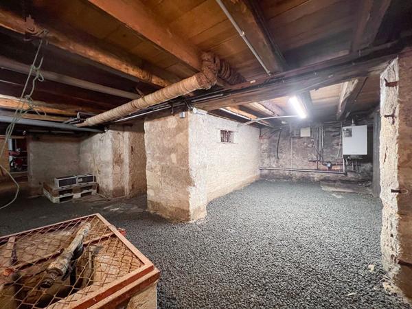 A vendre - Maison de Maître de 270 m² avec terrain de 1000 m² - jardin, cave et stationnements "Angers Ney/ St Serge"