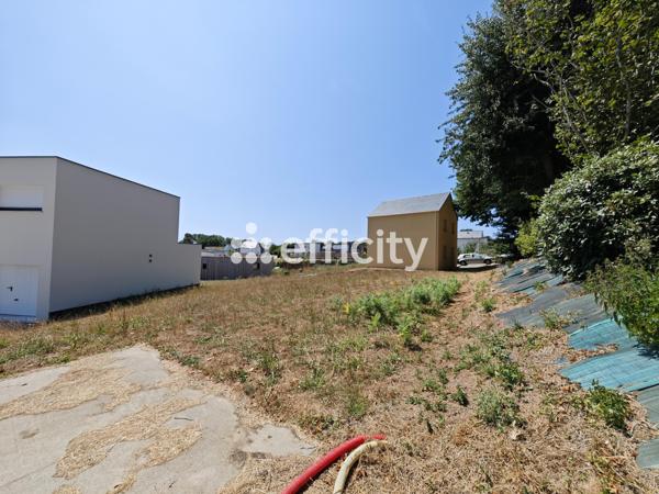 Terrain
        
        - 534 m² 75 000 € *