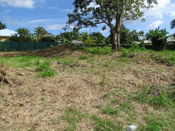 Immobilier Petit-Bourg (97170) – Terrain 1000m2 – 150 500 €